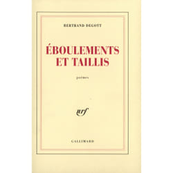 Éboulements et taillis