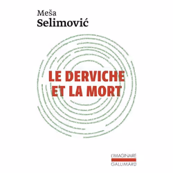 Éditions Gallimard LE DERVICHE ET LA MORT, Français, Livre broché, 379 pages