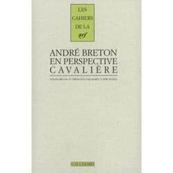 André Breton en perspective cavalière