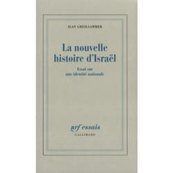 La Nouvelle histoire d'Israël : Essai sur une identité nationale