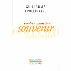 ISBN Tendre comme le souvenir, Français, 378 pages