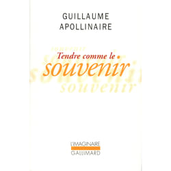 ISBN Tendre comme le souvenir