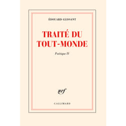 Poétique Tome 4 : Traité du tout-monde