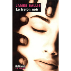 Le frelon noir