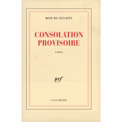 ISBN Consolation provisoire, Français, 160 pages