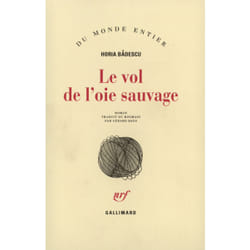 Le vol de l'oie sauvage