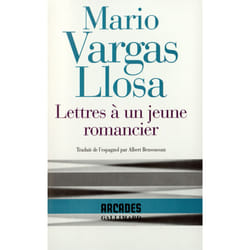 Lettres à un jeune romancier