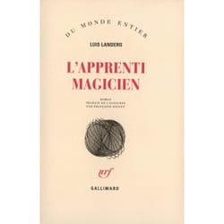 L'apprenti magicien
