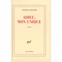 ISBN Adieu, mon unique, Français, 400 pages