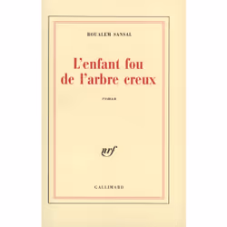 ISBN L'enfant fou de l'arbre creux, Français, 304 pages