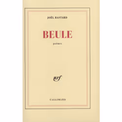 ISBN Beule, Français, 120 pages