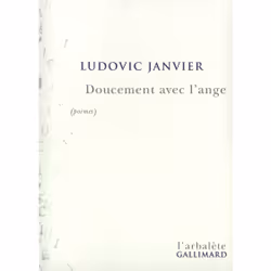 ISBN Doucement avec l'ange, Français, 248 pages