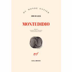 ISBN Montedidio, Français, 208 pages