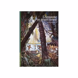 ISBN L'Amazone, un géant blessé, Français, 176 pages