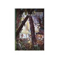 L'Amazone, un géant blessé