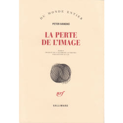 La perte de l'image ou par la sierra de gredos