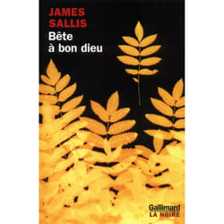 Bête à bon dieu