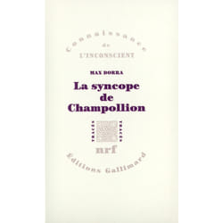 La syncope de champollion - entre les images et les mots