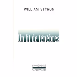 Éditions Gallimard UN LIT DE TENEBRES, Français, Livre broché, 603 pages