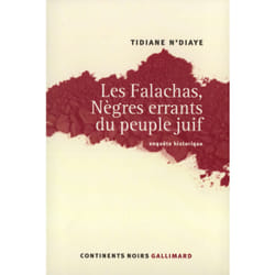 Les Falachas, Nègres errants du peuple juif : Enquête historique