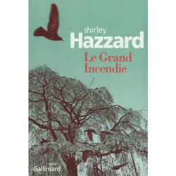 Le grand incendie
