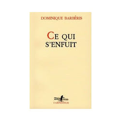 Éditions Gallimard CE QUI S ENFUIT livre Français Livre broché