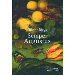 Semper augustus