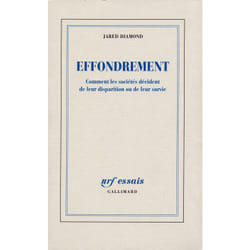Effondrement