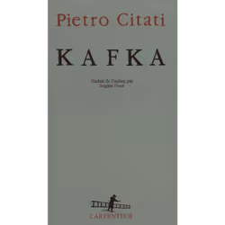 ISBN Kafka, Français, 336 pages