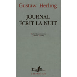 Journal écrit la nuit