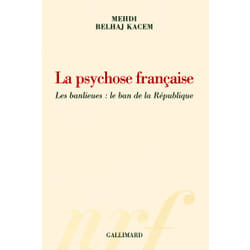 La psychose francaise - les banlieues : le ban de la republique