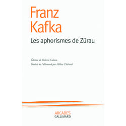 Les aphorismes de Zürau