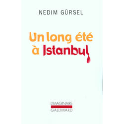 Un long été à istanbul