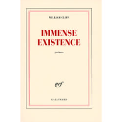 Immense existence