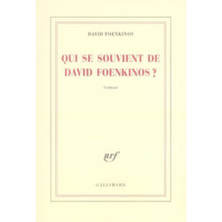 Qui se souvient de David Foenkinos ? (Grand format)
