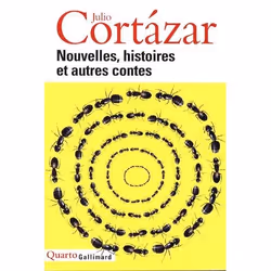 Éditions Gallimard NOUVELLES, HISTOIRES ET AUTRES CONTES, Français, Livre broché, 1415 pages