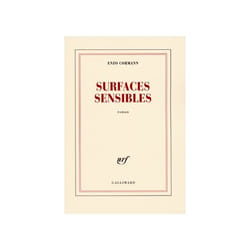 ISBN Surfaces sensibles