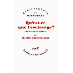 Qu'est-ce que l'esclavage ? une histoire globale