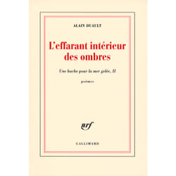 L'effarant intérieur des ombres - une hache pour la mer gelée t.2