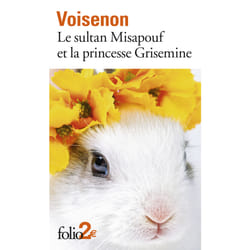 Le sultan Misapouf et la princesse Grisemine