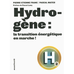 Hydrogène : la transition énergétique en marche!
