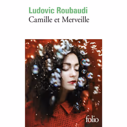 ISBN Camille et Merveille ou L'amour n'a pas de cœur, Français, 288 pages