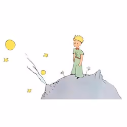 Éditions Gallimard LE PETIT PRINCE, Français, Livre broché