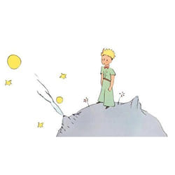 Éditions Gallimard LE PETIT PRINCE livre Français Livre broché