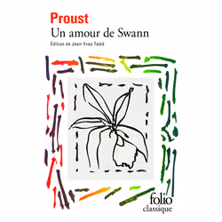 ISBN Un amour de Swann, Français, 384 pages
