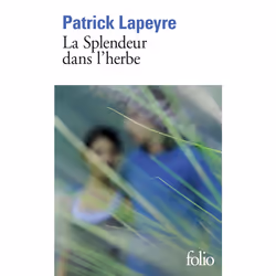ISBN La Splendeur dans l'herbe, Français, 368 pages