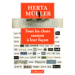 Tous les chats sautent à leur façon - entretien avec Angelika Klammer
