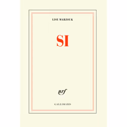ISBN Si, Français, 320 pages