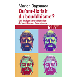 Qu'ont-ils fait du bouddhisme ? une analyse sans concession du bouddhisme à l'occidentale