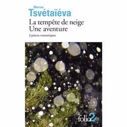 ISBN La tempête de neige - Une aventure, Français, 128 pages